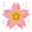 Sakura Icon