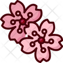 Sakura Flower Cherry Blossom Icon