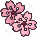Sakura Icon
