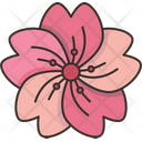 Sakura Blossom Flower Icon