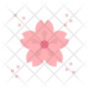 Sakura Flower Sakura Flower Icon