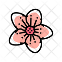 Sakura Flower Icon