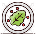 Salad Vegetable Salad Fruit Salad Icon