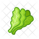 Salad Vegetables Vegetarian Icon