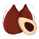 Salak Fruit Fresh Icon