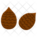 Salak Fruit Healthy Icon