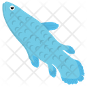 Saltwater Fish Fish Cartoon Fish Icon