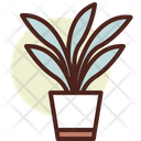 Sansevieria  Icon