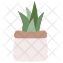 Sansevieria  Icon