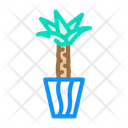Sansevieria Plant Icon