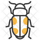 Sap Beetle Insect Icon