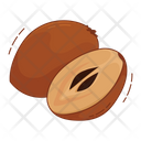 Sapodilla Fruit Fresh Icon