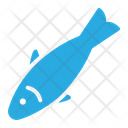 Sardine  Icon