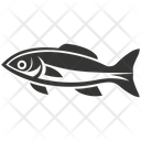 Sardine fish  Icon