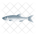 Sardine Fish Icon