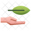 Hand Holding Leaf Hand Hold Icon