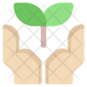 Plant Leaf Growth Icon