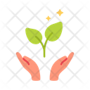 Ecology Plant Tree Icon