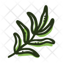 Savory Plant Spice Icon