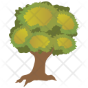 Sawtooth Oak Durable Icon