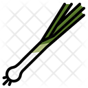 Vegetable Food Vegetarian Icon