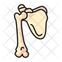 Scapula Shoulder Bone Icon