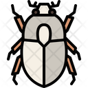 Scarab Beetle Icon