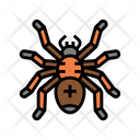 Scary Spider Icon