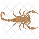 Scorpio  Icon