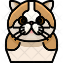 Scottish Fold Cat Cat Face Icon