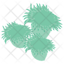 Sea Anemones Icon
