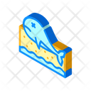 Fish Death Isometric Icon