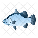 Sea Bass Icon
