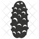Sea cucumber  Icon