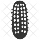 Sea cucumber  Icon