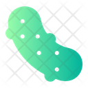 Sea Cucumber  Icon