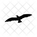 Sea Gull Bird Animal Icon