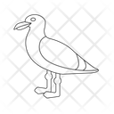 Sea Gull Icon
