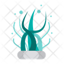 Sea plant  Icon