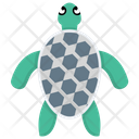 Turtle Tortoise Sea Turtle Icon