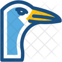 Seagull Bird Gulls Icon