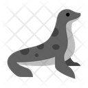 Seal Fish Icon