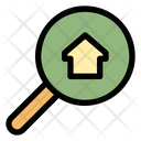 Search  Icon