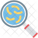 Search Bacteria Magnifying Glass Magnifier Icon