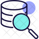 Search Data Search Database Find Data Icon