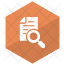 Search Document File Magnifying Icon