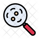 Search Germs Lab Icon