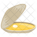 Clam Scallop Shell Icon
