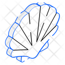 Seashell Icon