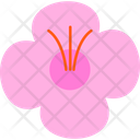 Seasonal  Icon